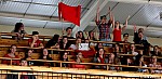 IMG_7995